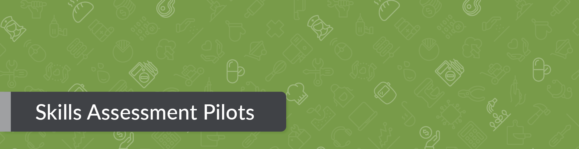 Skills Assessment Pilot banner